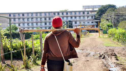 PROFET is implemented at the Manifiesto de Montecristi Agricultural Polytechnic Institute, in Jobabo, Las Tunas