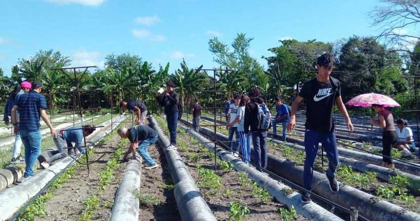 El proyecto Tu Aporte Cuenta vincula a niños, adolescentes y jóvenes con la producción, el empleo y el desarrollo económico local