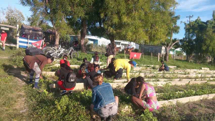 Proyecto Tu Aporte Cuenta en "Amancio"
