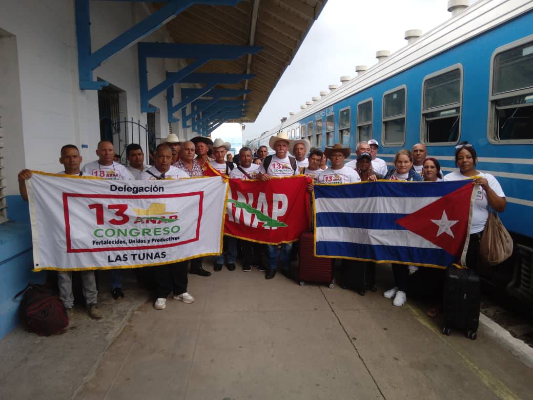 Cortesía Anap 1