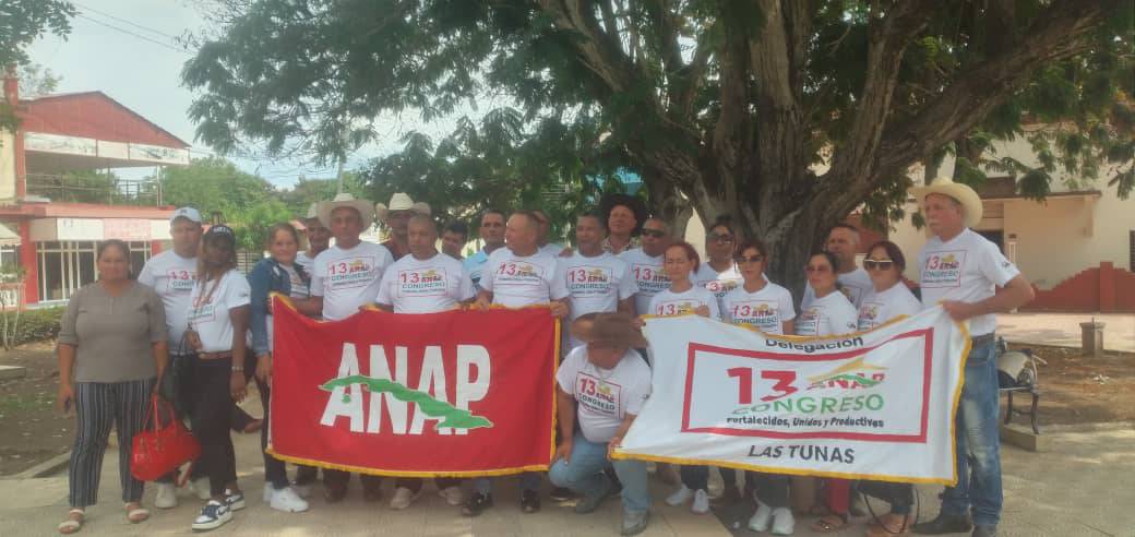 Cortesía Anap 2 1