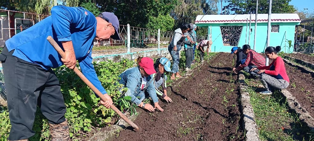 Lostrabajadores1 jornadas de trabajo voluntario CTC Las Tunas