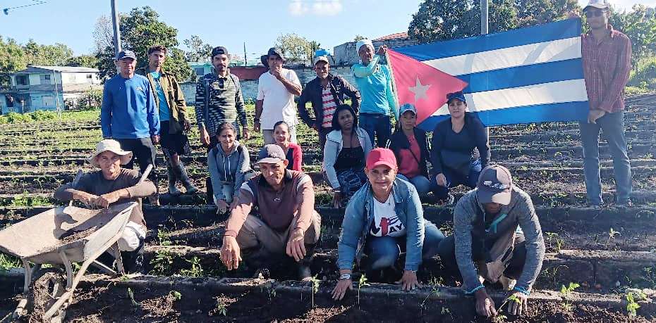 Lostrabajadores3 jornadas de trabajo voluntario CTC Las Tunas