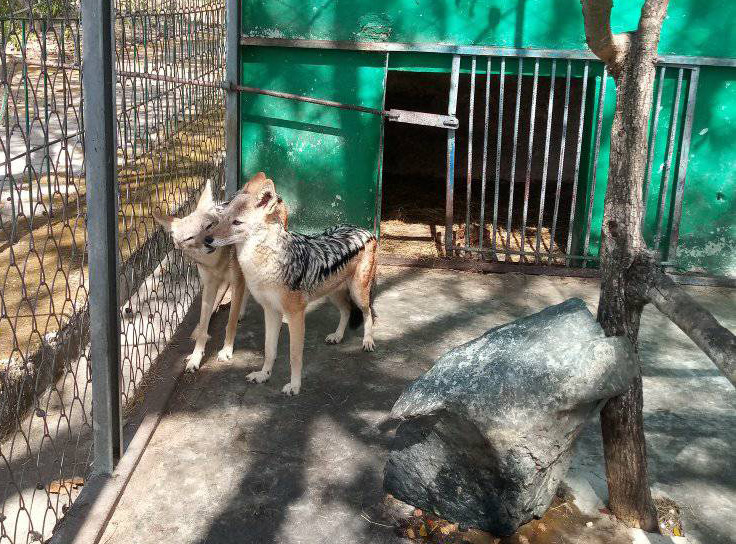 Las Tunas Zoo is offering new attractions