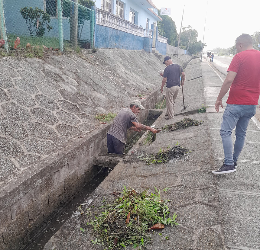 construcción melissa 2