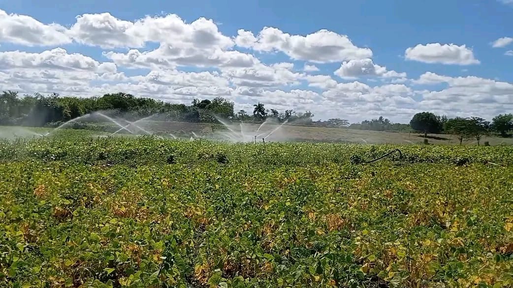 paneles universidad las tunas 2