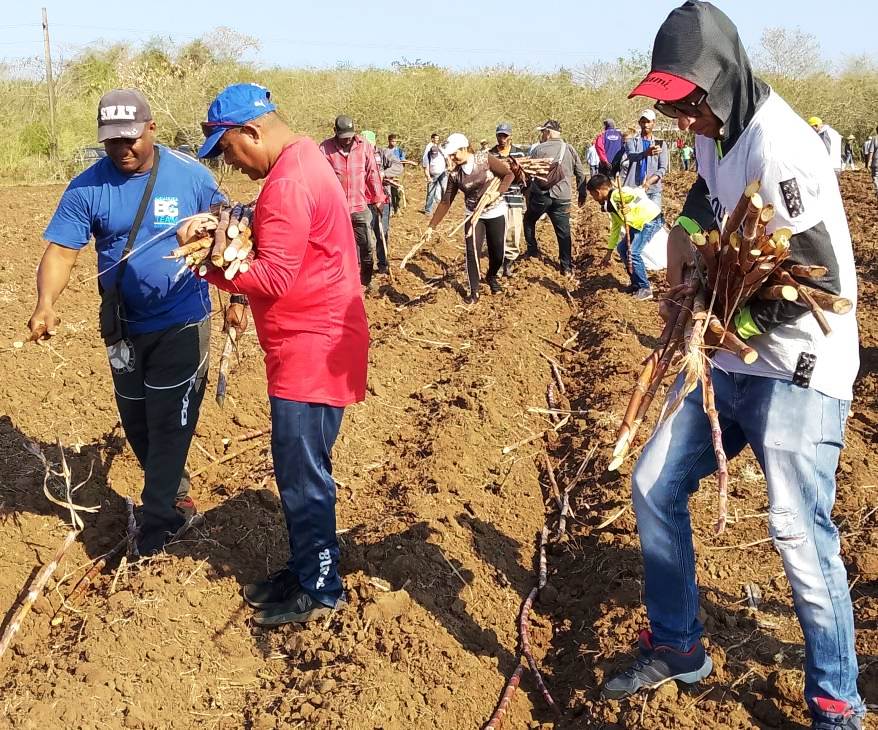 Late1 Trabajo voluntario Convocatoria al Primero de Mayo Potosí Manatí
