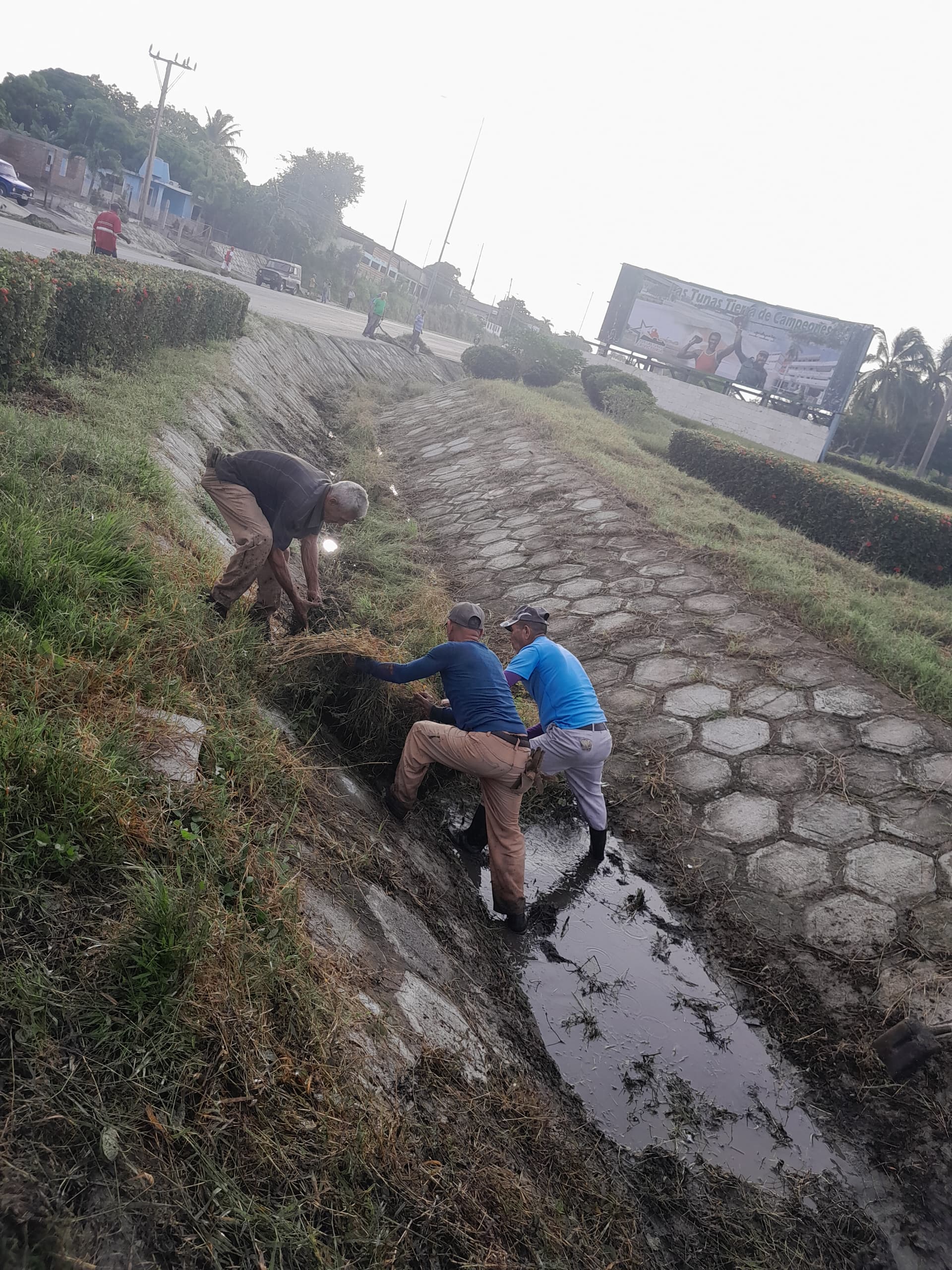 camiones las tunas 1