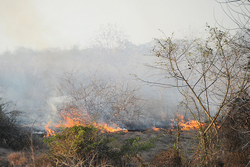 Possibility of forest fires remains high