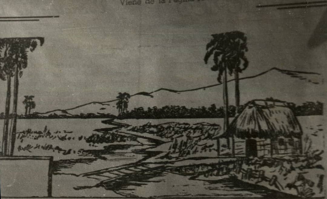 las tunas origenes wilber 2