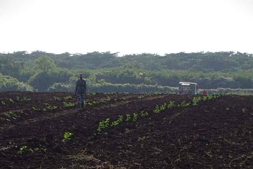 Suelos, plantas, y animales reciben los beneficios de la lluvia