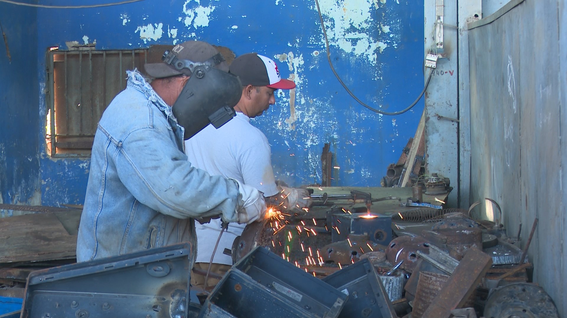 materias primas las tunas