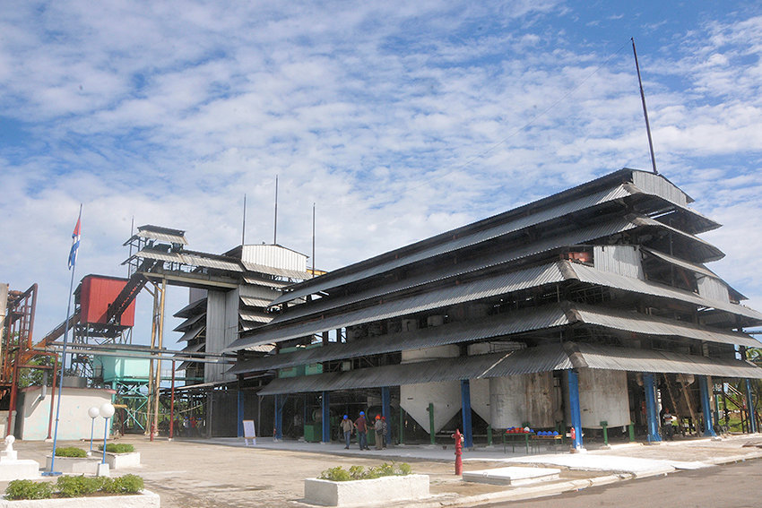 The Majibacoa Wax Plant sent two tons for the Cuban pharmaceutical industry.