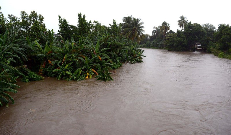 plantaciones lastunas