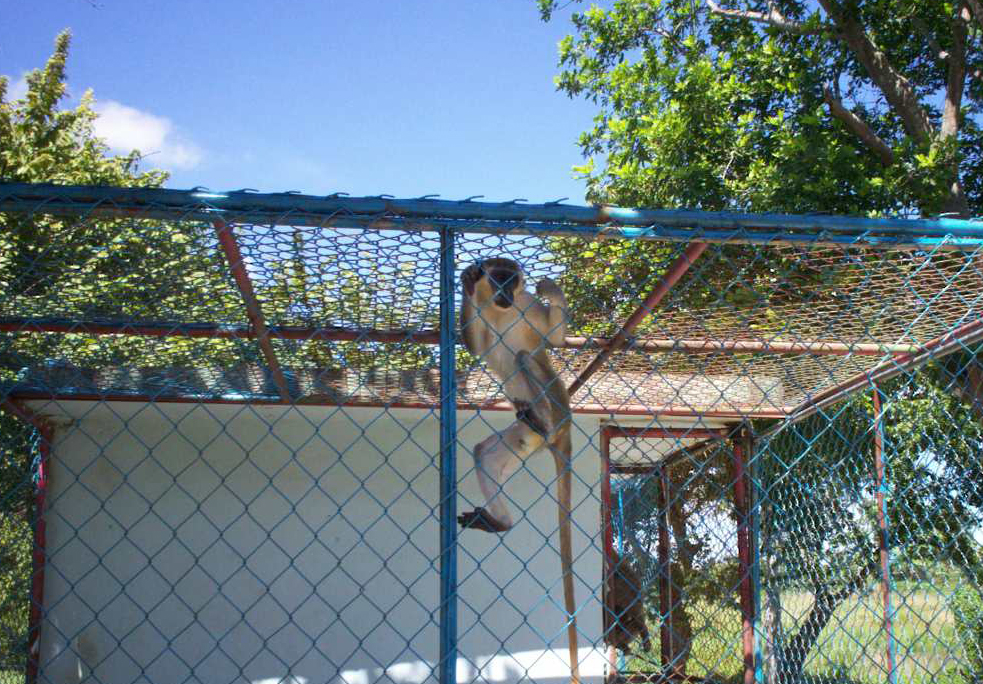 zoológico 3