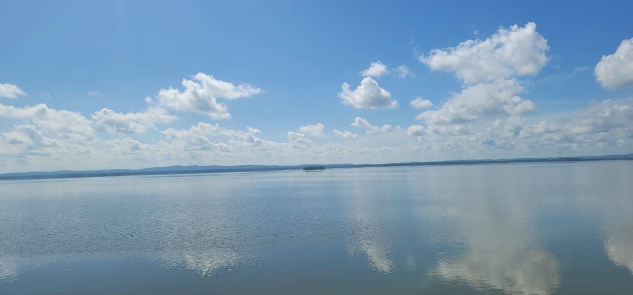 574017917 1571719837176654 1605554056365452448 n