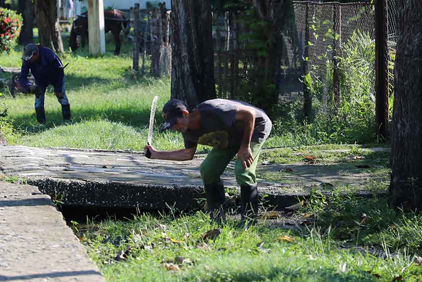 Territorial Defense Day held in Omaja, Majibacoa.