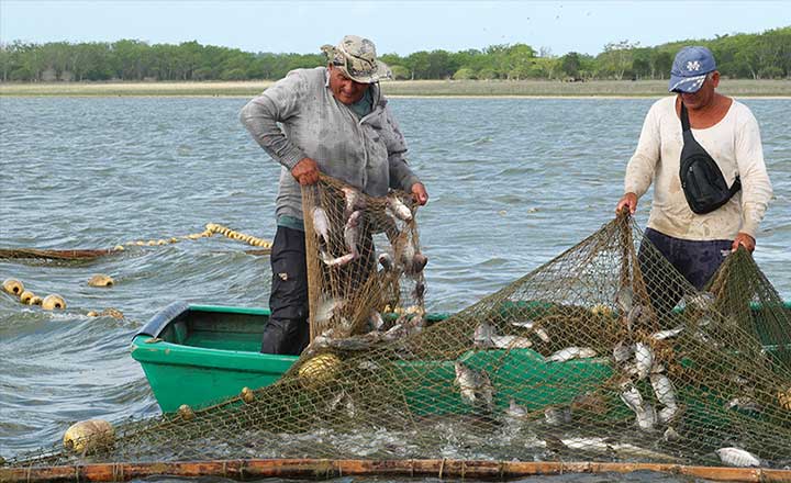 Chuchi atesora más de dos décadas de labor en la captura de peces en las presas tuneras