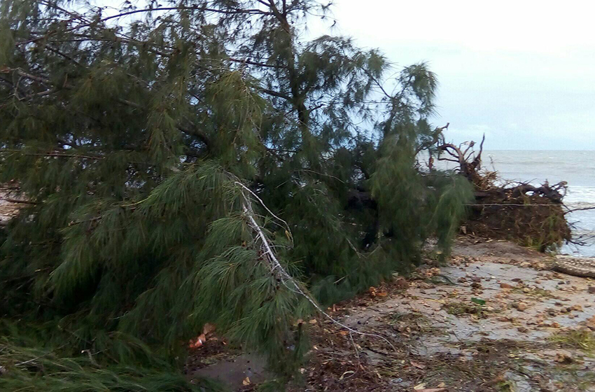 "Laura" caused coastal flooding in the town of Guayabal