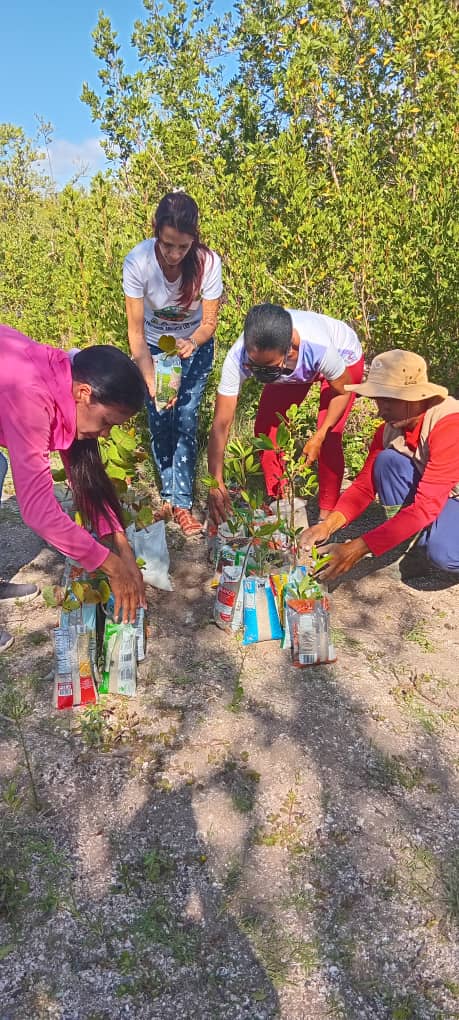 Proyecto Mi costa amancio