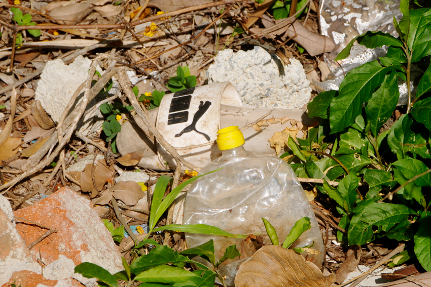 Plastics, as waste, represent a growing threat.