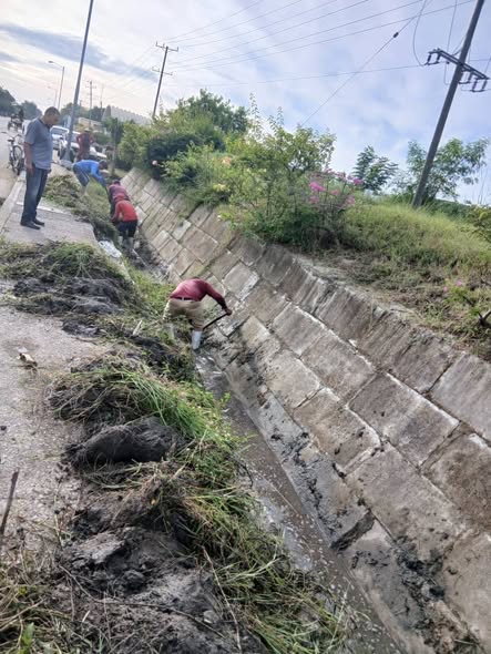 acciones prevención 2