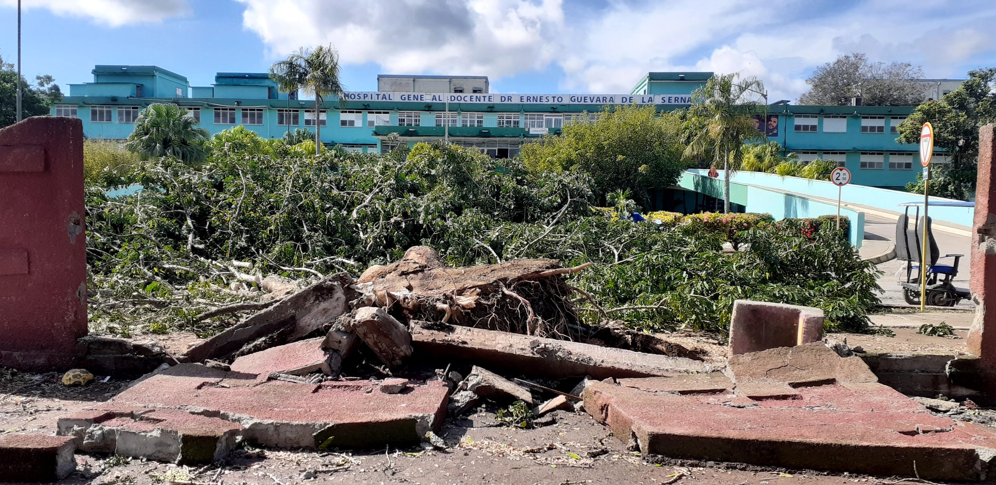 arbol caido lastunaas melissa