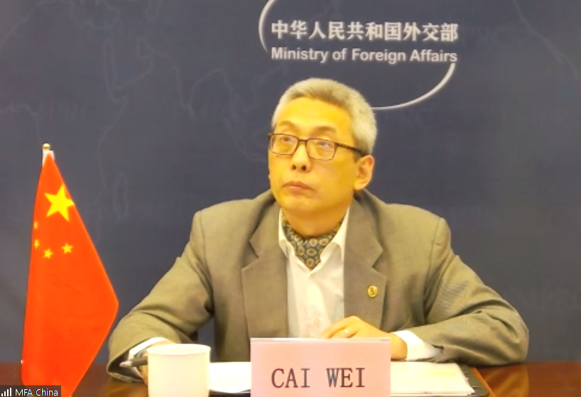 Cai Wei china