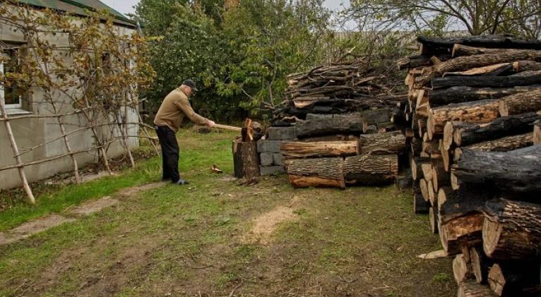 acopiando madera antes de la llegada del invierno en una aldea ucraniana foto efe epa sergey kozlov