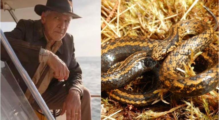 harrison ford serpiente