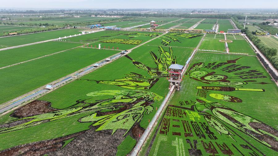 la China rural también cobra entradas 1