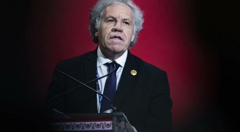 luis almagro