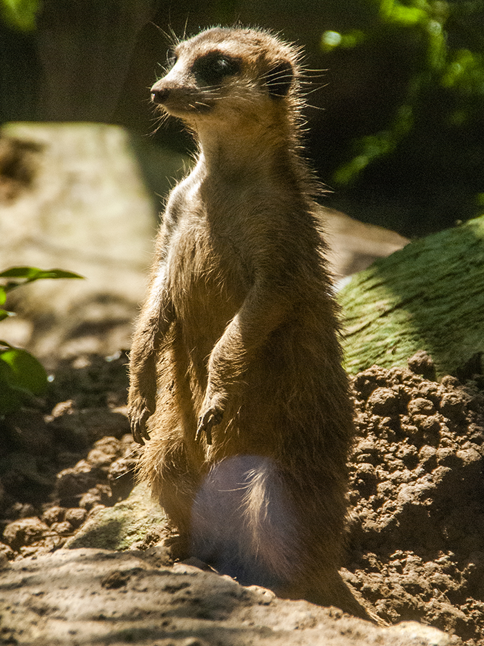 zoo beijing 2022 0015