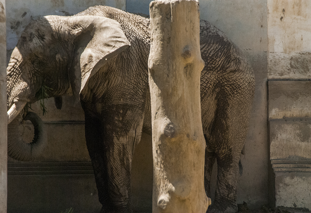 zoo beijing 2022 0018