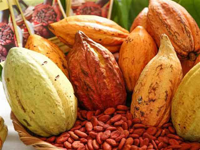 The cultivation of this fruit has grown in recent years in Nicaragua.