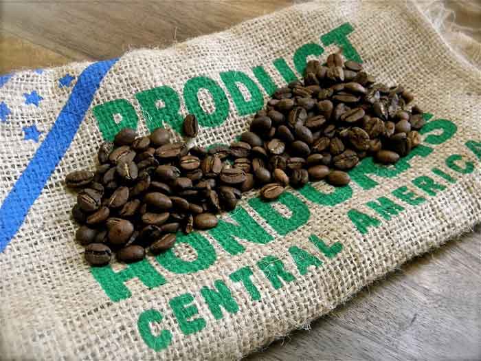 China podría convertirse en el principal consumidor del café hondureño, superando a Alemania