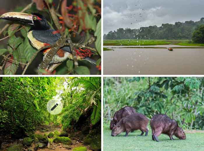 The Darién National Park has been a world heritage site since 1981