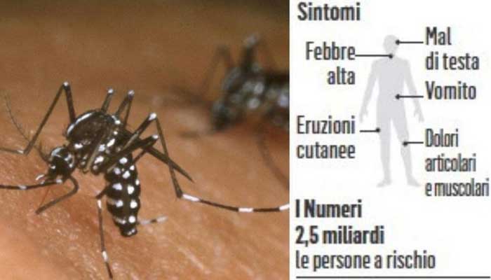 The spread of dengue and chikungunya is of particular concern in Italy