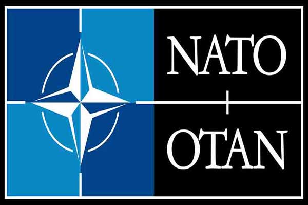 North Atlantic Treaty Organization (NATO) 