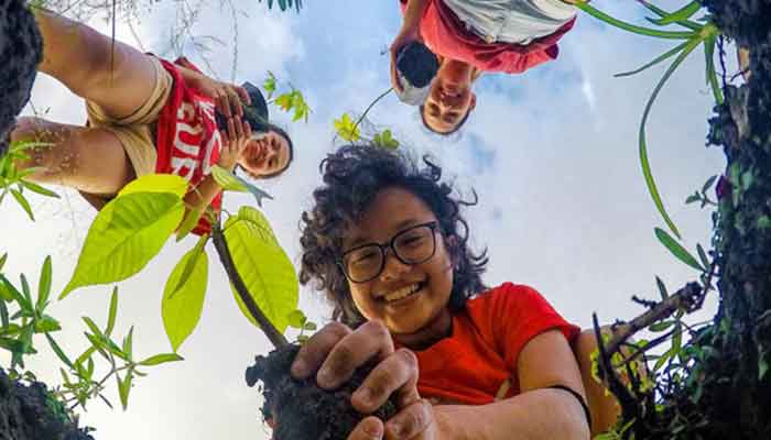 2023 Theme: Green Skills for Youth: Towards a Sustainable World
