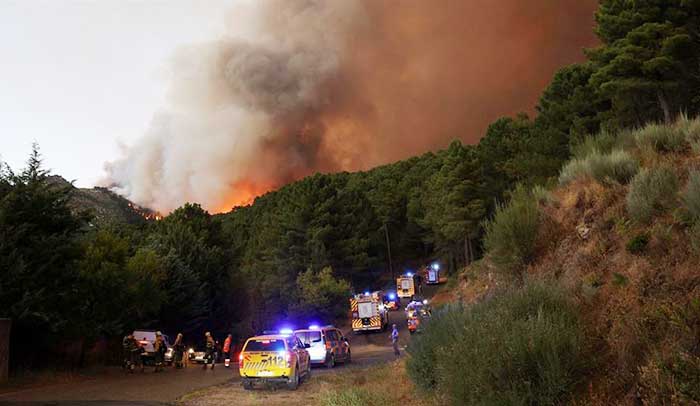 Más de 40 siniestros se mantienen activos.