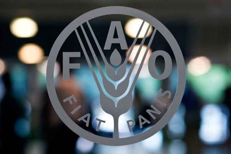 FAO supports 13 Cuban municipalities with the acquisition of transport means.