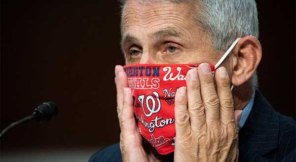 Dr. Anthony Fauci, director of the National Institute of Allergy and Infectious Diseases. Photo: Reuters