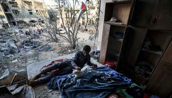 A Palestinian youth pets a cat in a building heavily damaged during recent Israeli strikes, on June 1, 2021, in Beit Hanun in the northern Gaza Strip, more than a week after a ceasefire brought an end to 11 days of hostilities between Israel and Palestinian resistance fighters. 
