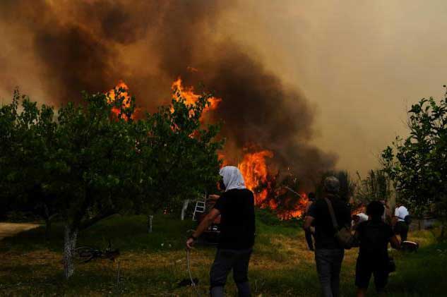 Cuando los incendios forestales ocurren fuera de sus etapas habituales sufren los ecosistemas y los seres vivos que los habitan.