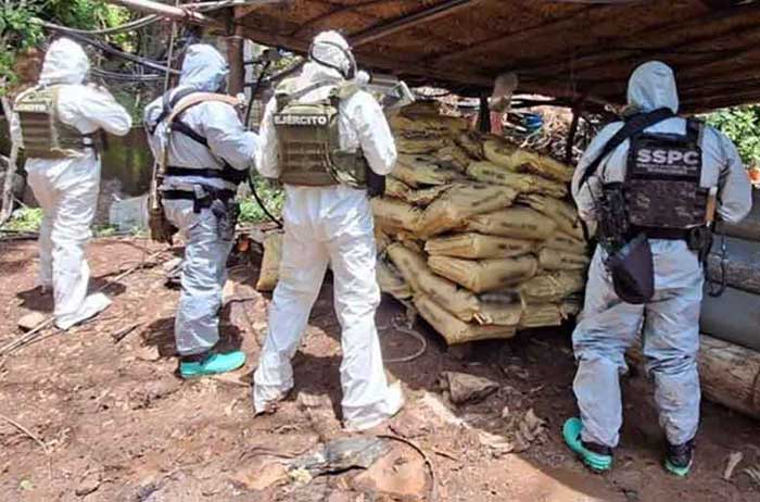 Durante las labores de desmantelamiento, las autoridades federales fueron atacadas con disparos de arma de fuego por integrantes de la delincuencia organizada.
