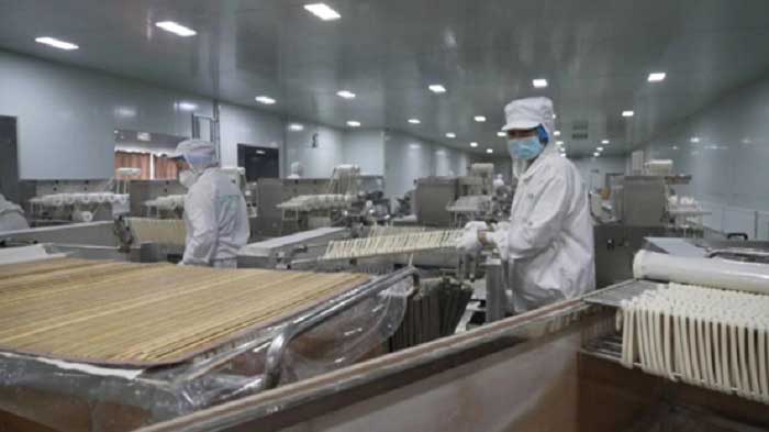 Noodle-making workshop in Yaozhanzi village. 