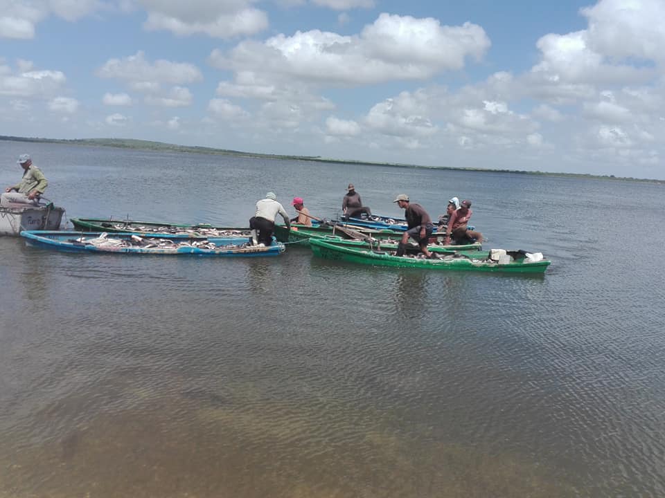 captura peces yenima 1