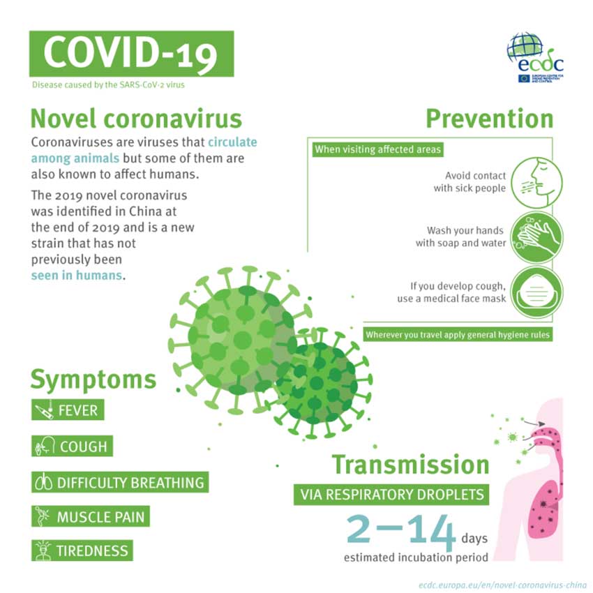 COVID 19 Infographic