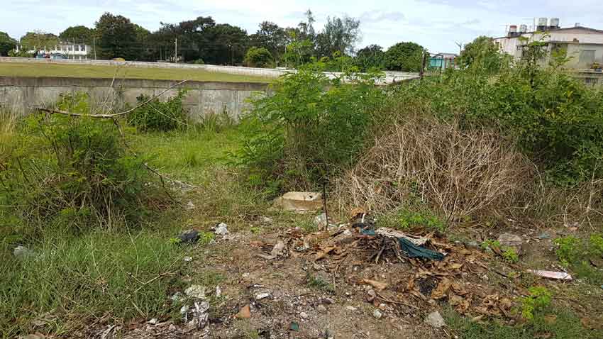 En muchas áreas públicas, donde los desechos sólidos se acumulan por días y semanas